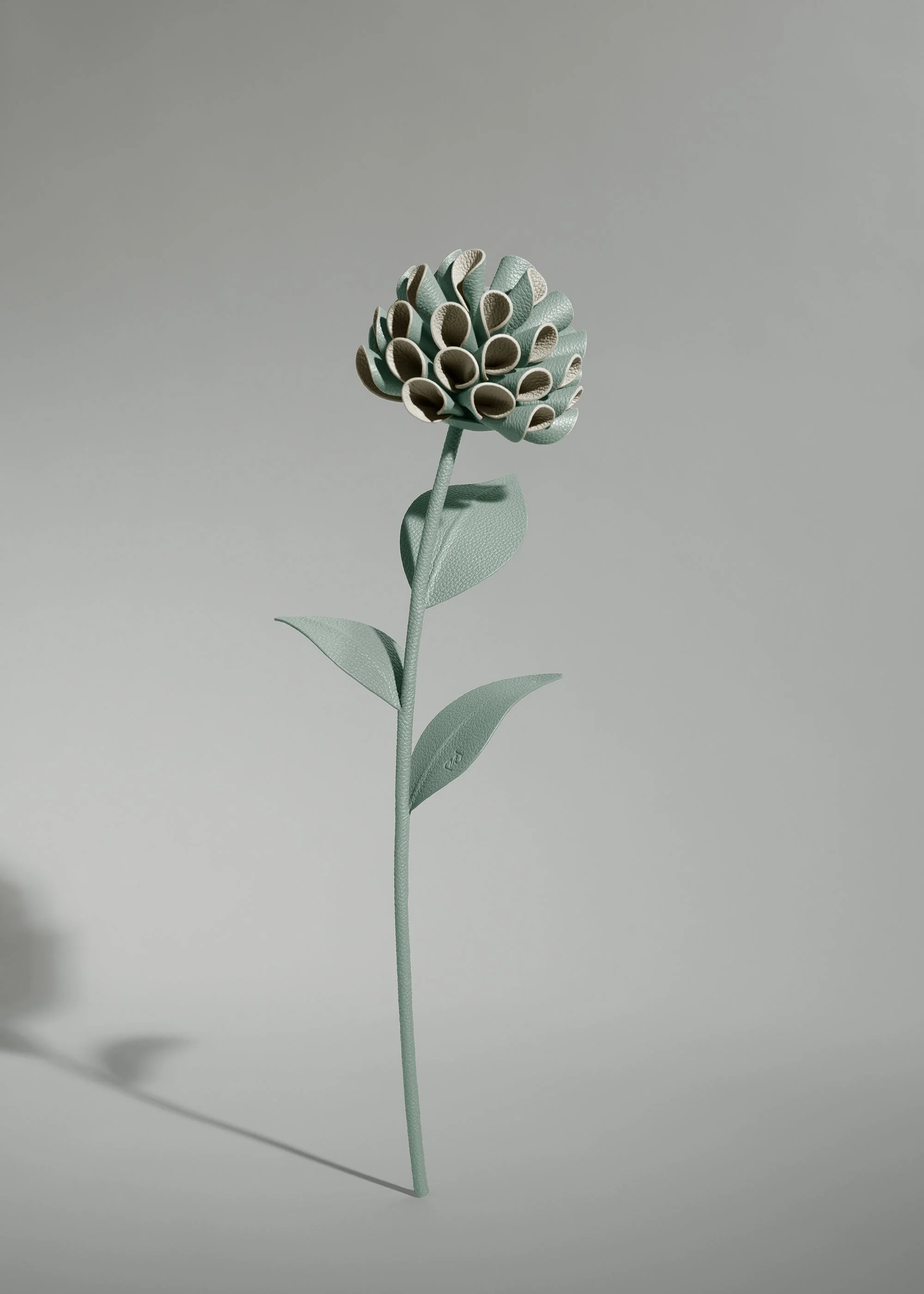 Dalium Flower - Fresh Almond - Image 2