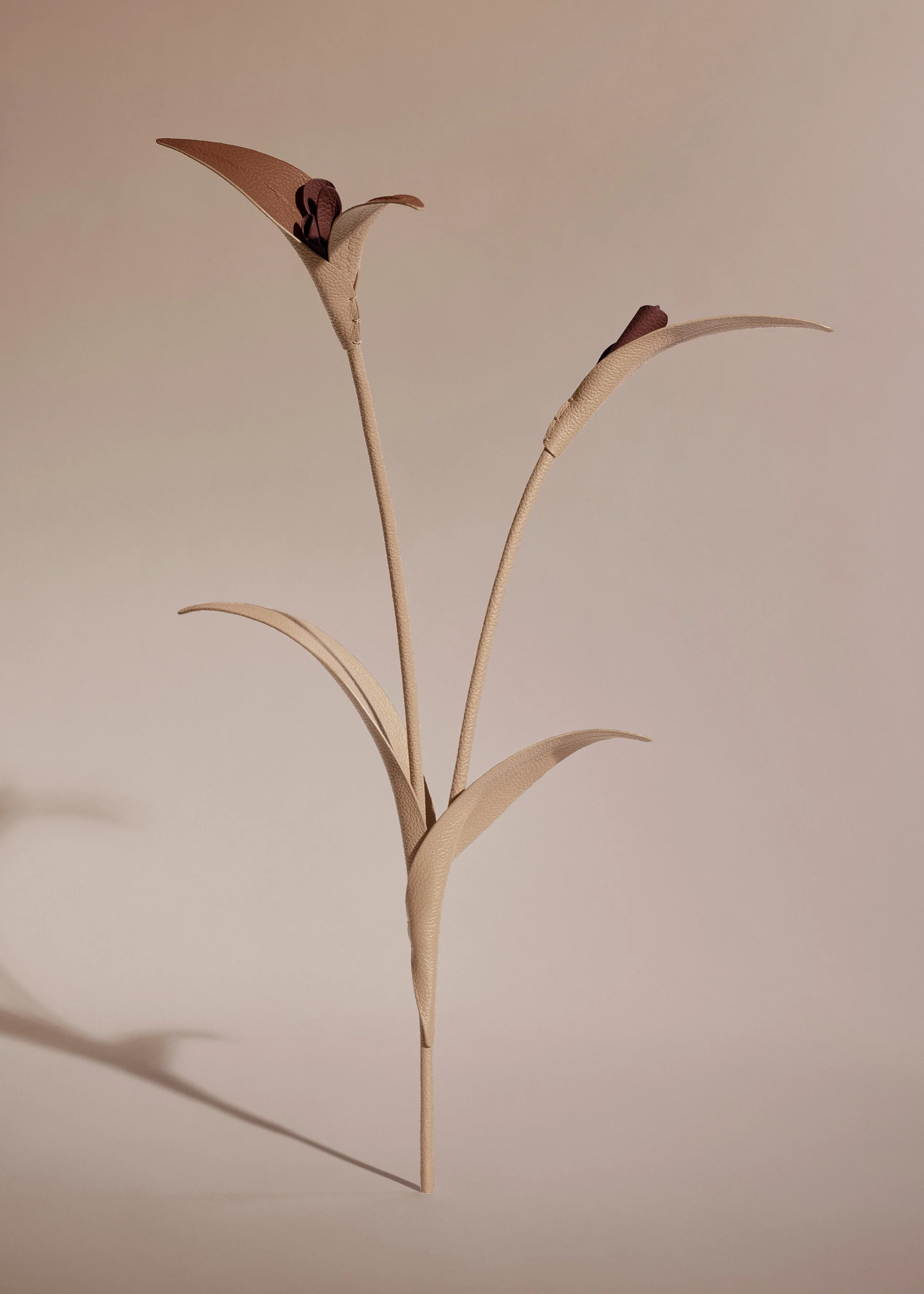 Touka Flower - Beige - Image 4