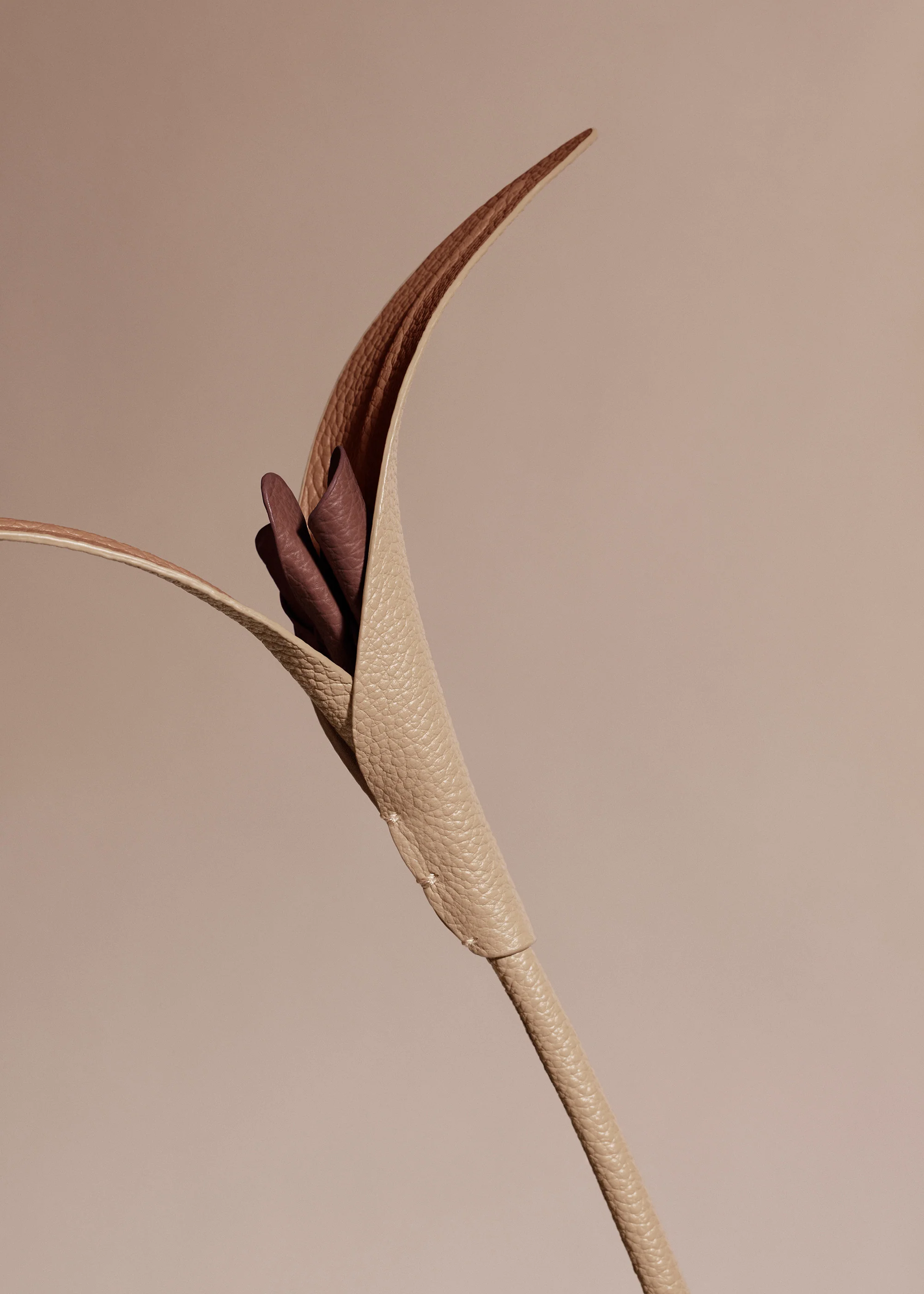 Touka Flower - Beige - Image 5